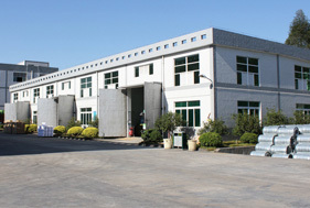 走進(jìn)金泰瀛